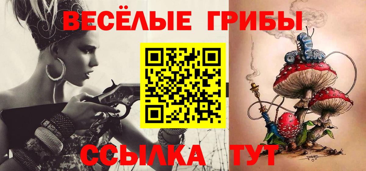 Псилоцибиновые грибы GOLDEN TEACHER Котлас