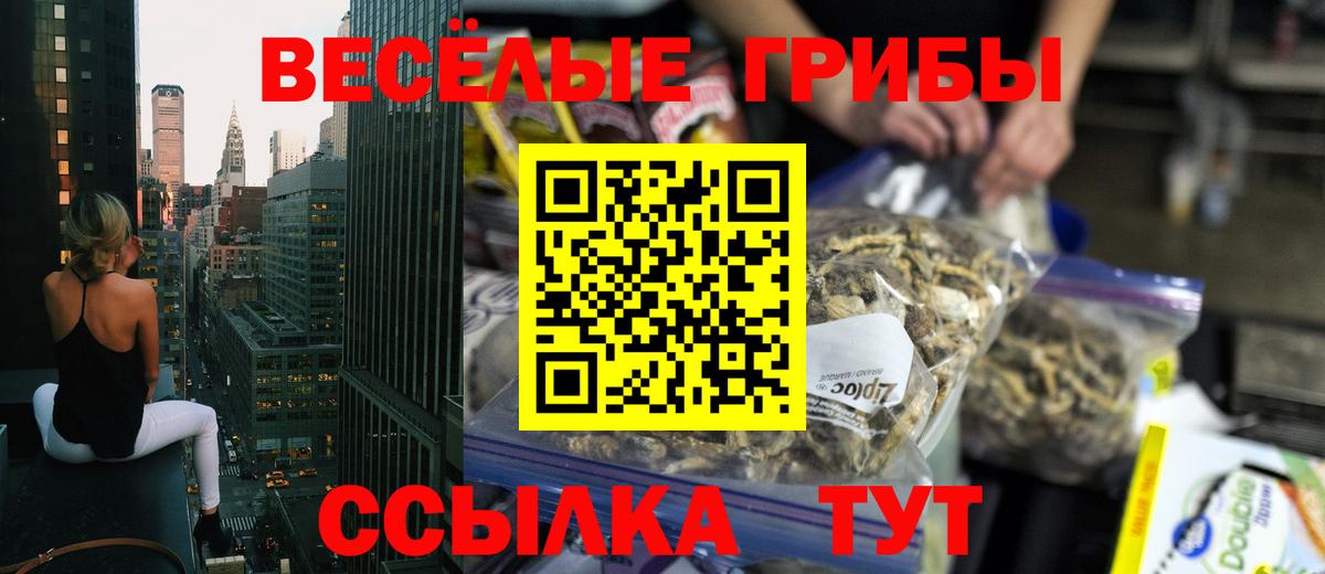 Котлас  дарнет шоп  Вход с VPN  Псилоцибиновые грибы Psilocybe 